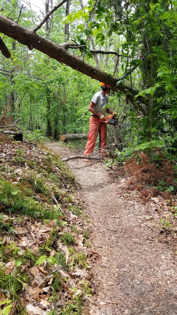 Sawyer clearing dangerous, spring loaded, low bridge on Land of the Lost trail in Hanging Rock State Park.
5/4/2021