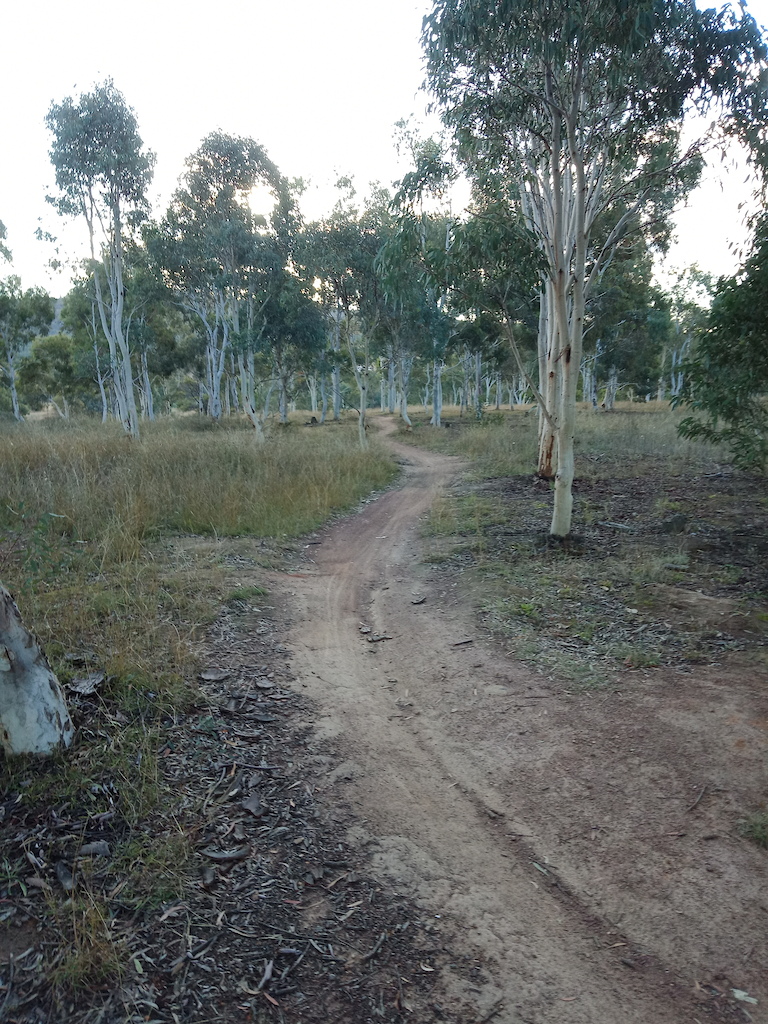 Headed downhill on the gums