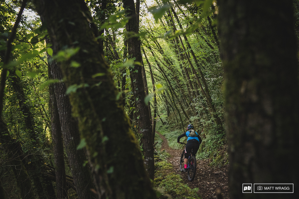 The final part of Candaniel mellows out for a blast through the mossy forest.