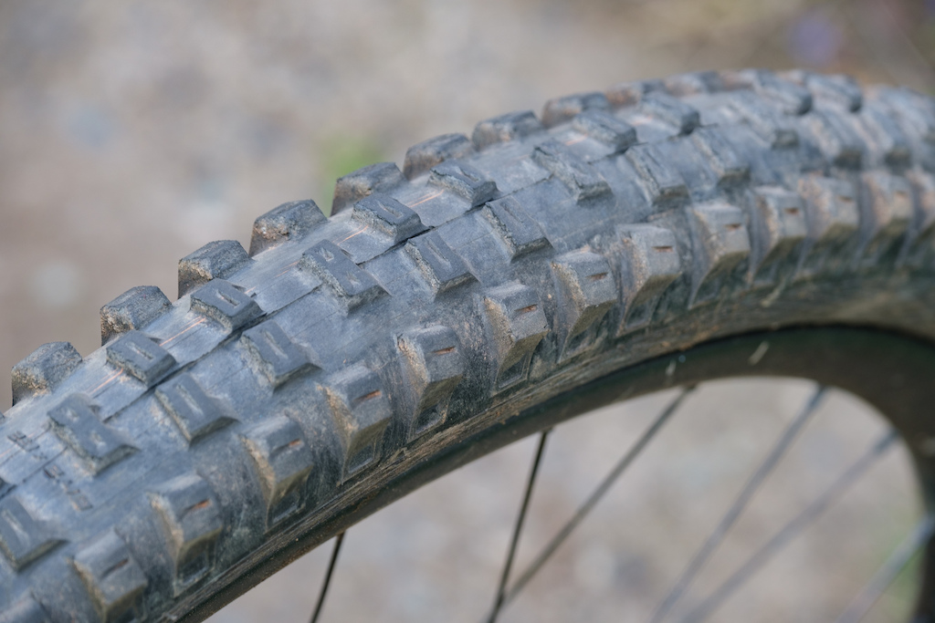 Schwalbe Big Betty tire review