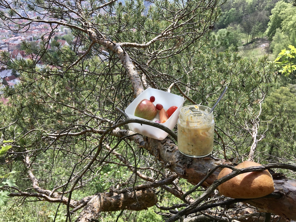 eggsalad in a tree