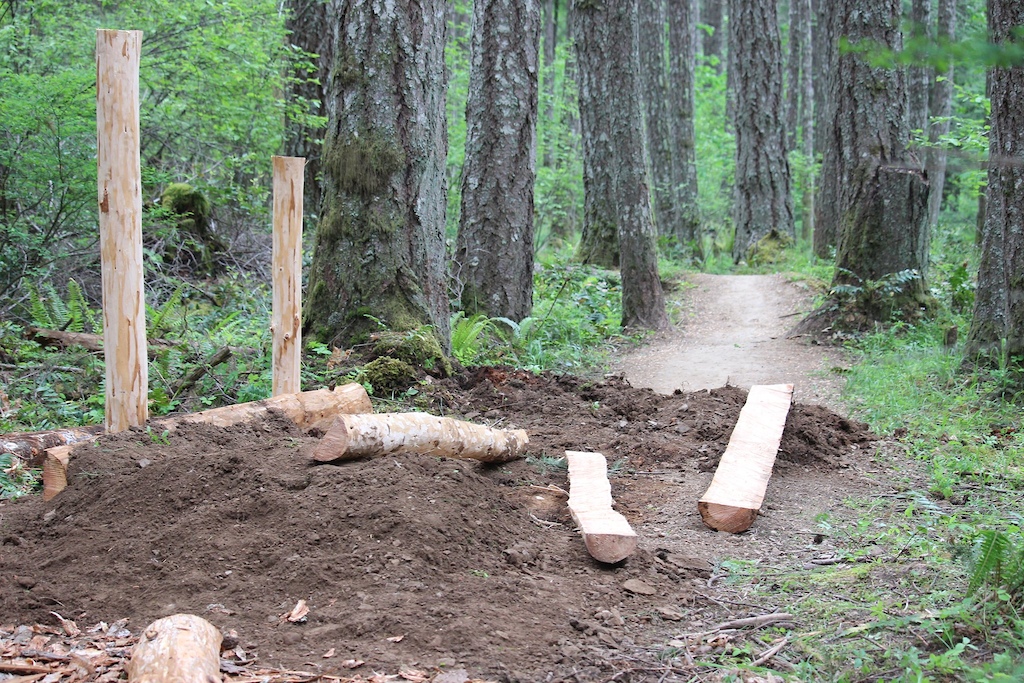 Spring 2021 lower DoubleD trail rebuild by the CTSS Trail Crew