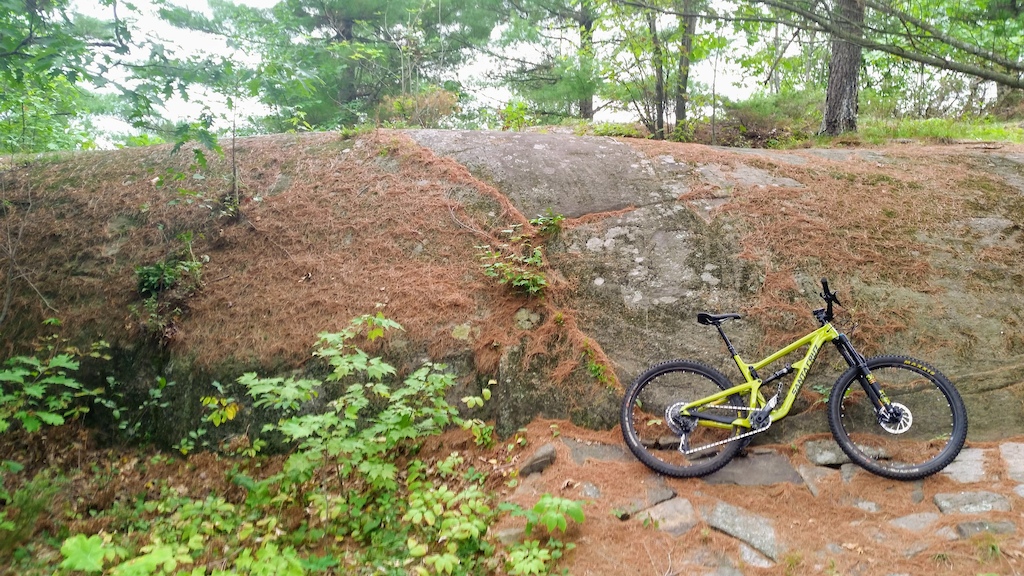 A yellow mountain bike leaning against a large moss-covered rock slab in a forest.