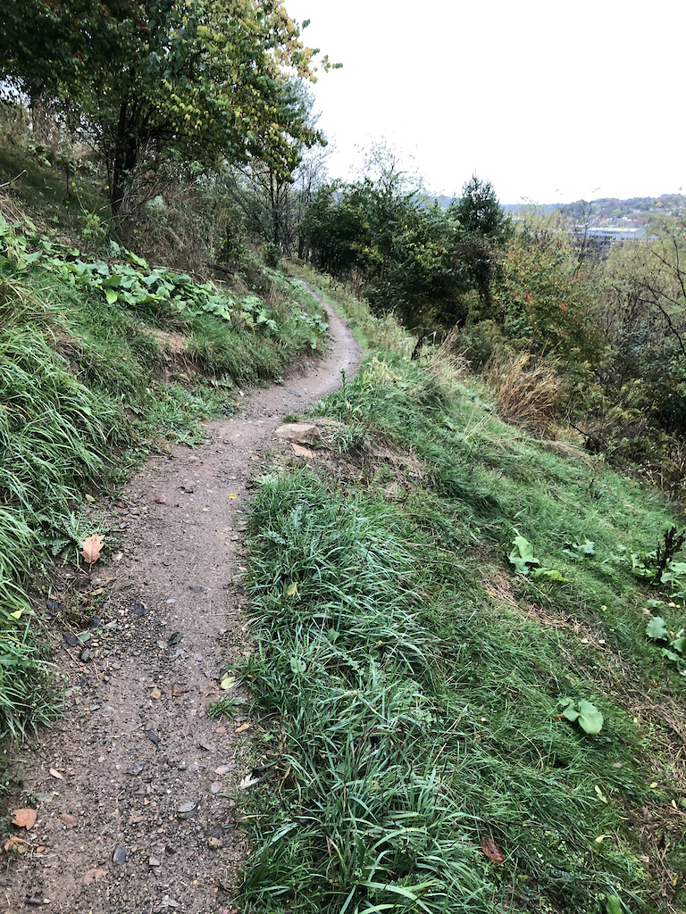IHOP is a loop and this photo is from the lower loop. IHOP is one of the most fun trails in the Frick Park area. IHOP is not technically in Frick Park but in an area called the "slags". The slags are home to some of the area's best trails; IHOP, Humpular and Refractory.