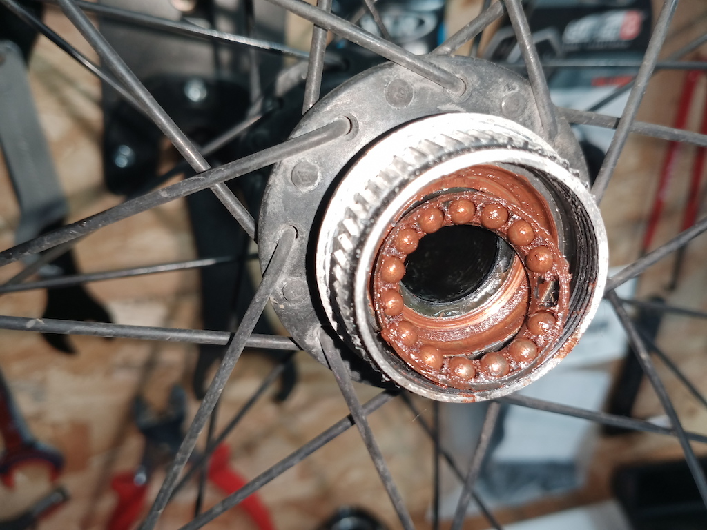 100 EUR hub needs to be replaced because we do not deserve to press a usual ball bearing 
1 year old bike.