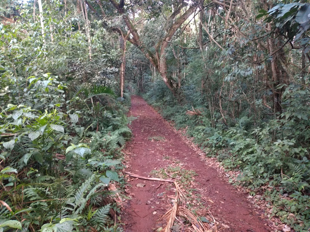Trecho da estrada de terra da Trilha das Bananeiras.