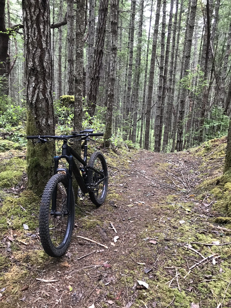 Trails beside Little Mountain, Parksville BC