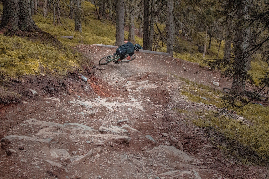 A mountain biker riding over rocky, rooty terrain in a moss-covered conifer forest.