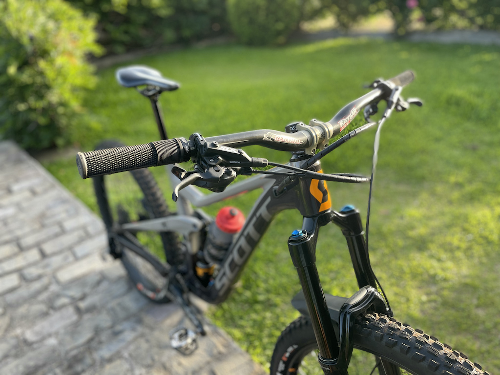 2019 Scott Ransom Mullet