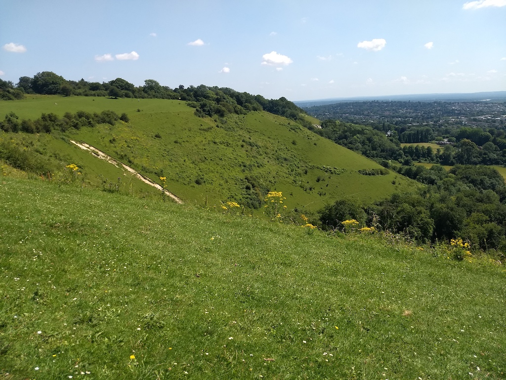 reigate hill...where the great views and scent of honeysuckle mingle with the waft of sun-warmed dog squeeze and the stench of desperate pretentious competitiveness...