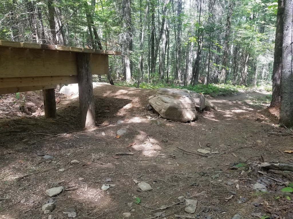 A forest trail with wooden structures and a large boulder surrounded by trees.