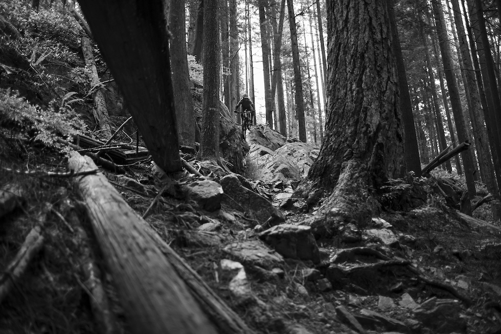 Geoff Gulevich on Vancouver s North Shore June 2021.