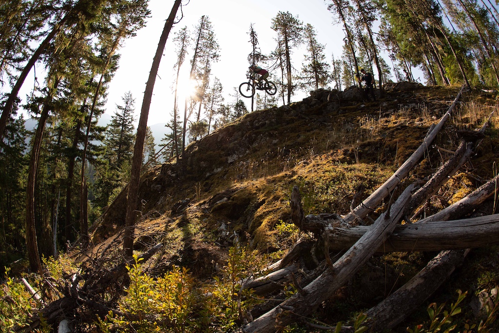 Deadfall step-down