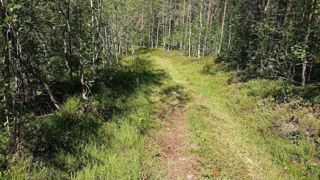 Ungefär mitt på trailen. En myr 50 meter till vänster på bilden kan göra den lerig efter större regn.