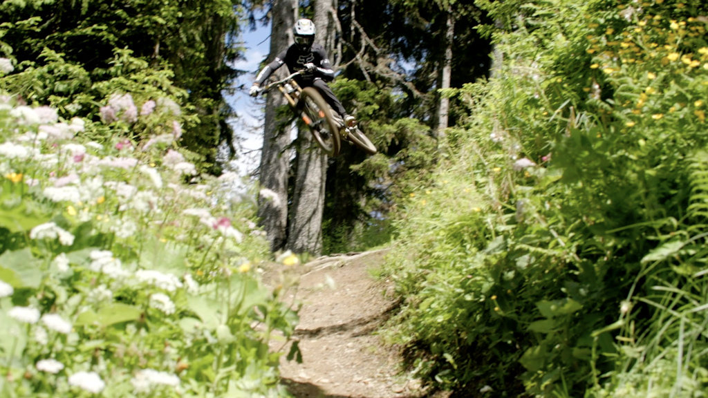Neko Shreds Morgins Best