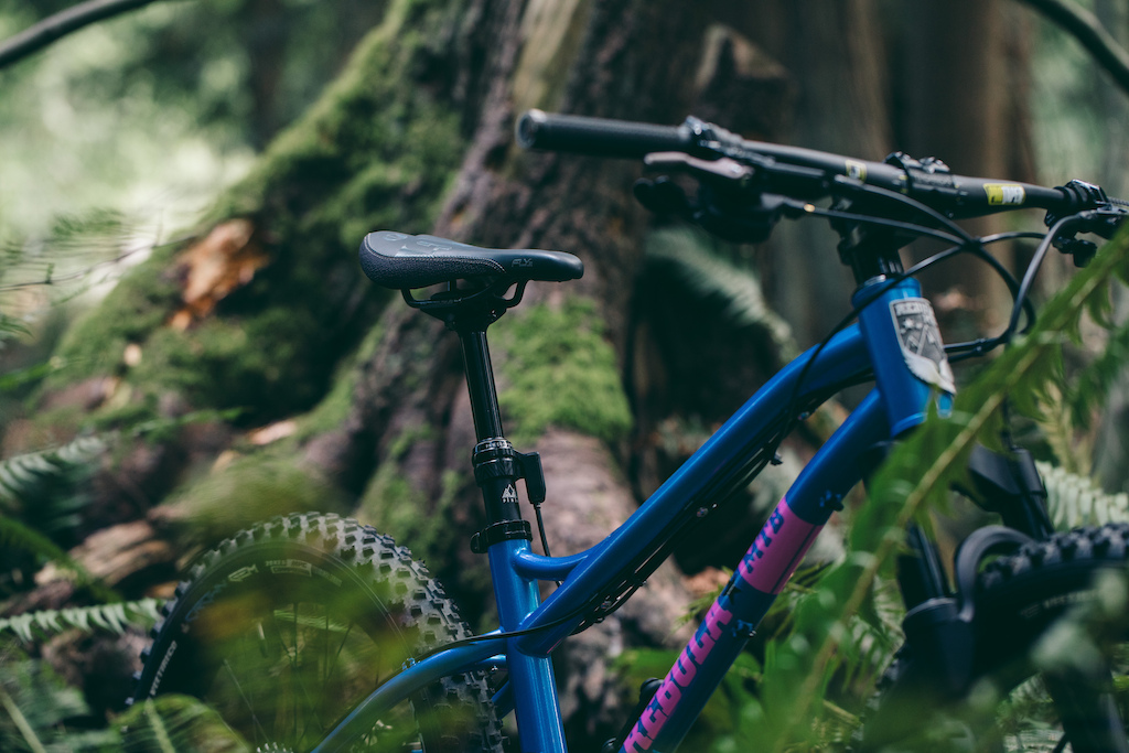 PNW Components introduces the Fern Dropper Post for kids. Our all-new Fern Dropper Post is specifically created for little shredders taking less effort and less weight to drop the saddle and get rowdy. Learn more about the Fern Dropper here https www.pnwcomponents.com pages fern-kids-dropper