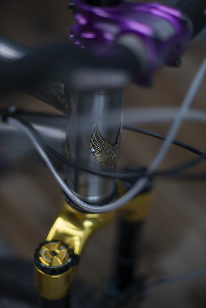 Absolutely over the moon with my new bike build! I built my parts across to a Kingdom Vendetta XFS with coil suspension front and rear. She turned out to be pretty hefty, but the ride is just sublime.