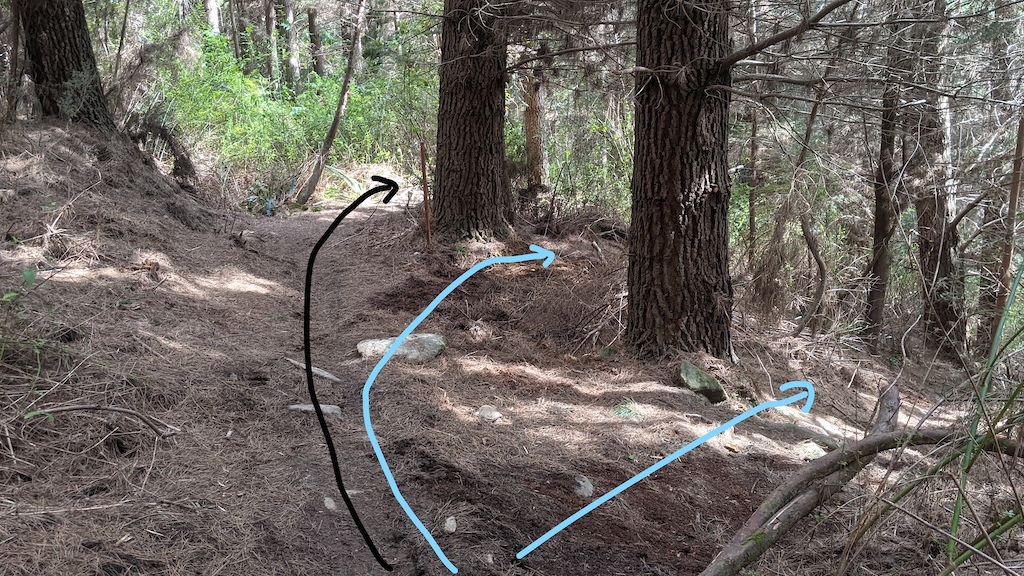 Main Line Black
Alternative Lines Blue