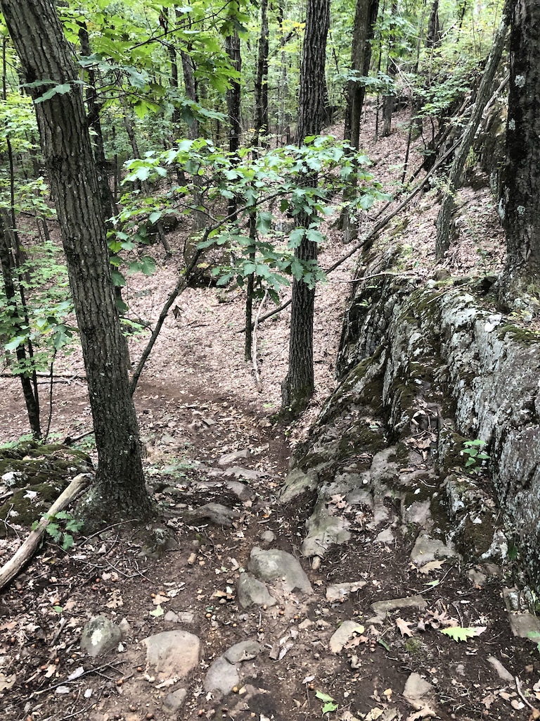 A forest trail winding downhill through deciduous trees with scattered rocks and fallen branches.