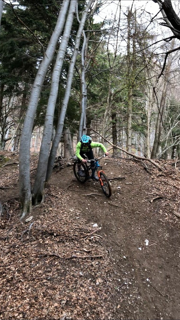 A mountain biker riding on a rooty forest trail with bare trees and fallen logs.