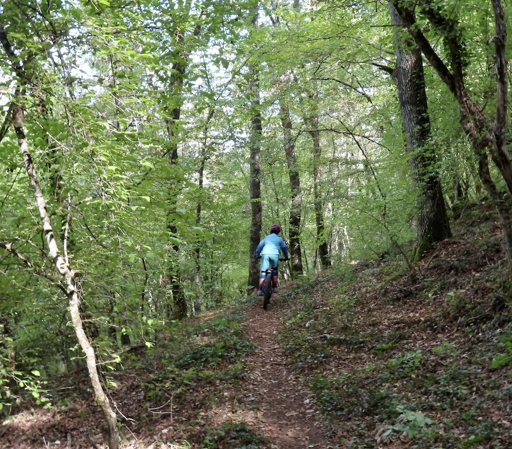Pavia Trail