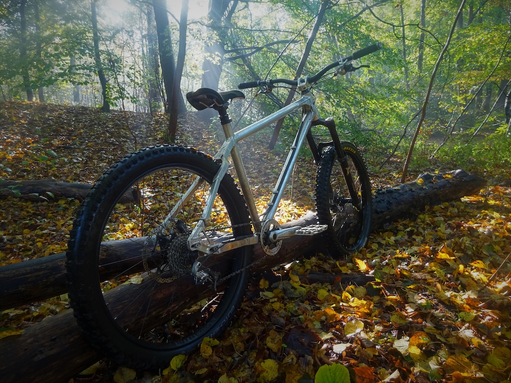 Some scenic shots from a morning ride in the woods