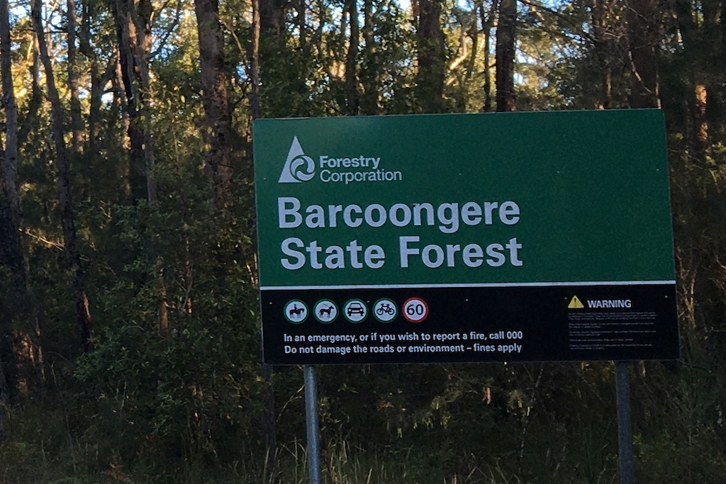 Forest sign showing permitted activities