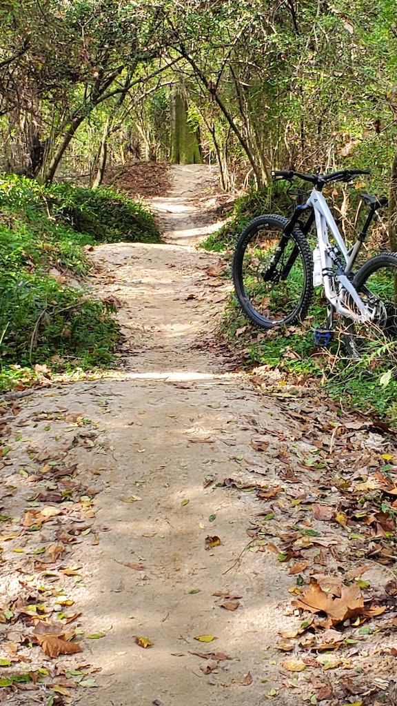 Downhill section with jumps and rollers.