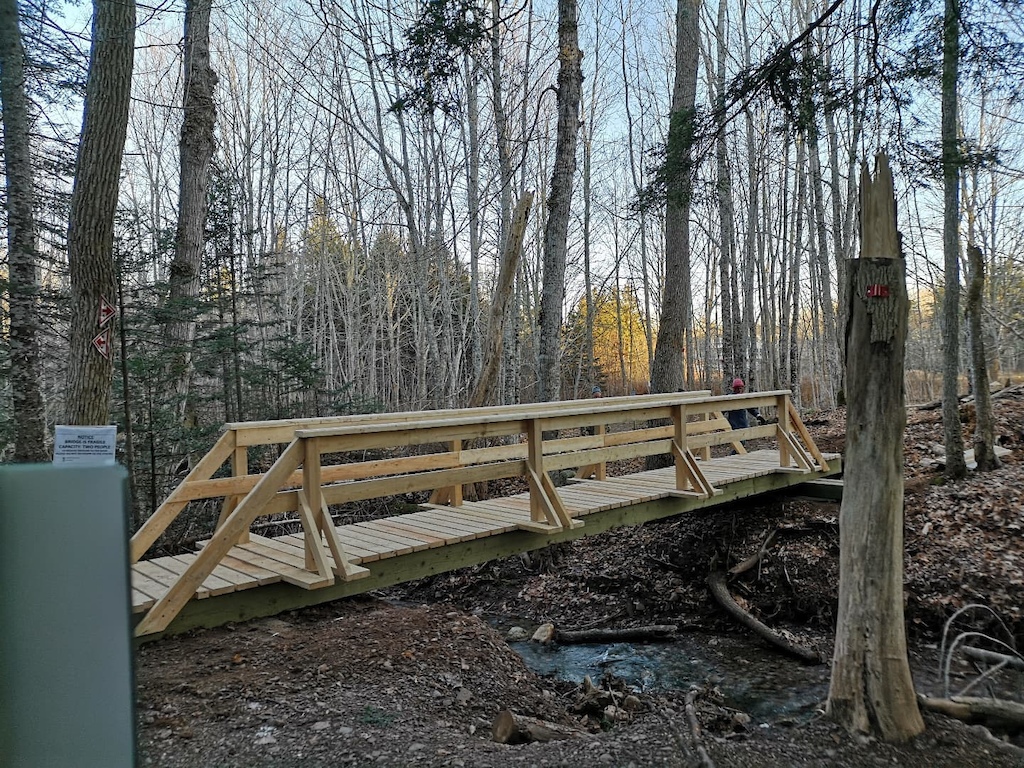 New Bridge on Fitz