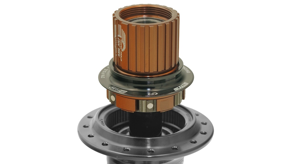 M-pulse rear hub showing magnetic paws.