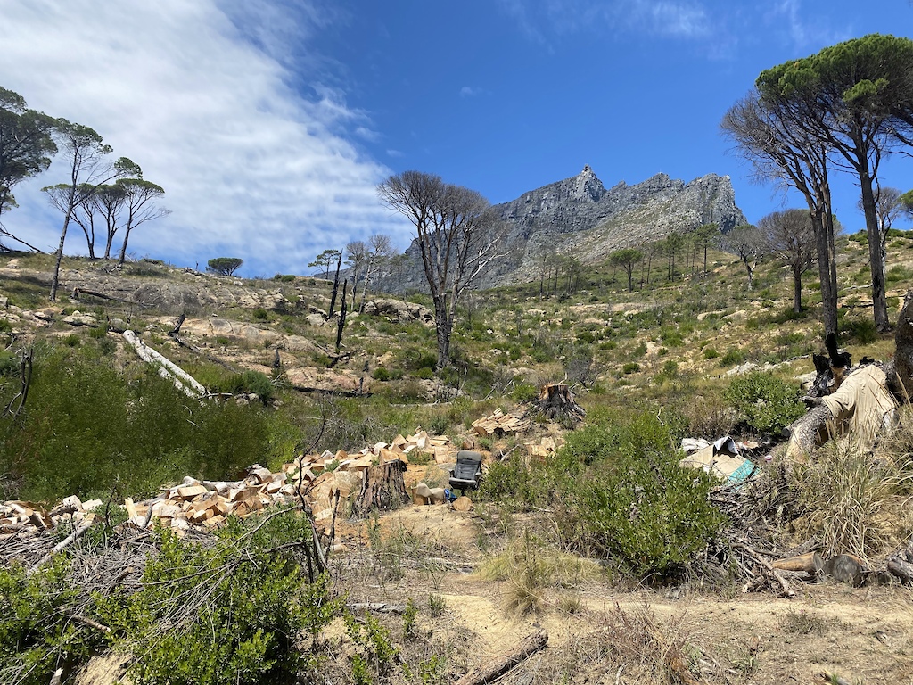 Vagrant camp just above the Pipe Bridge on the link trail between Invermark Crescent & Lower Kloof Nek parking.
