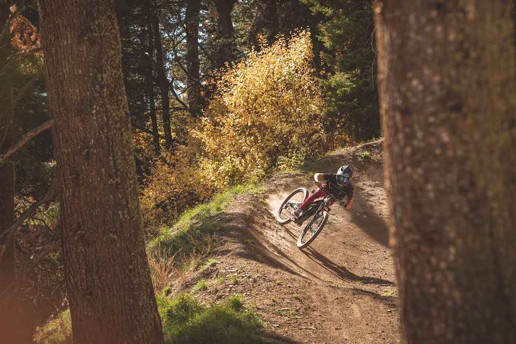 Photo by Stephen Shelesky