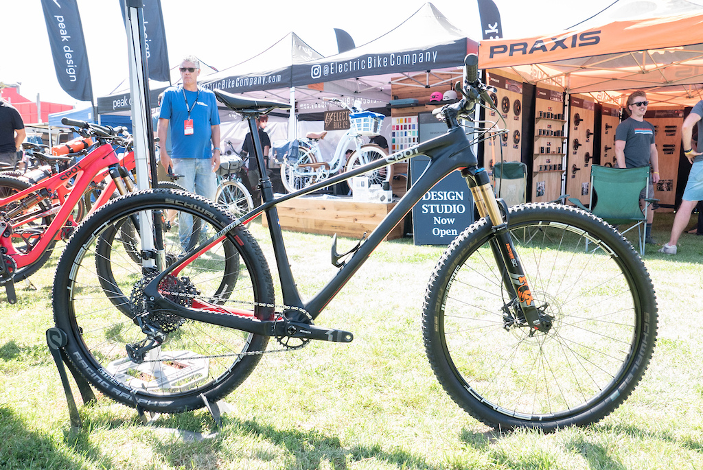 Sea Otter 2022