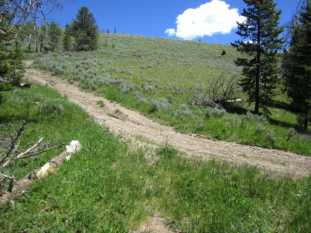 Steep section of road just above the upper Lime Creek Trail #100 Trailhead, 7/1/2019.
