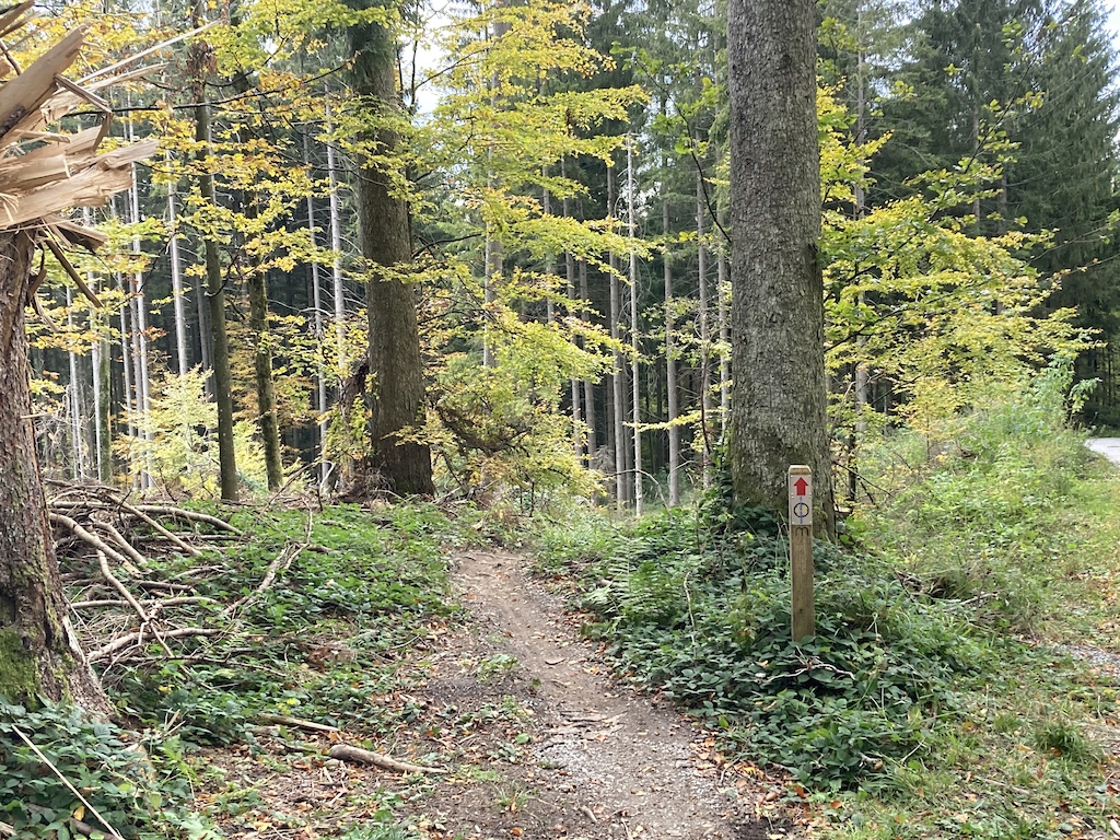 The Bachtel trail is well marked