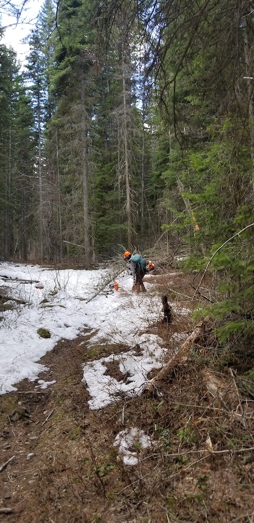 FAMB Trail Crew clearing obstructing trees and brushing on snow.