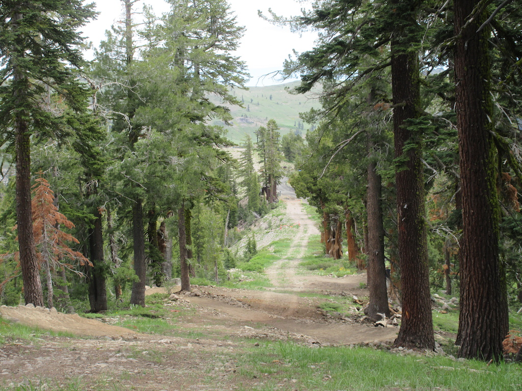 View down the trail with berms on the sides.