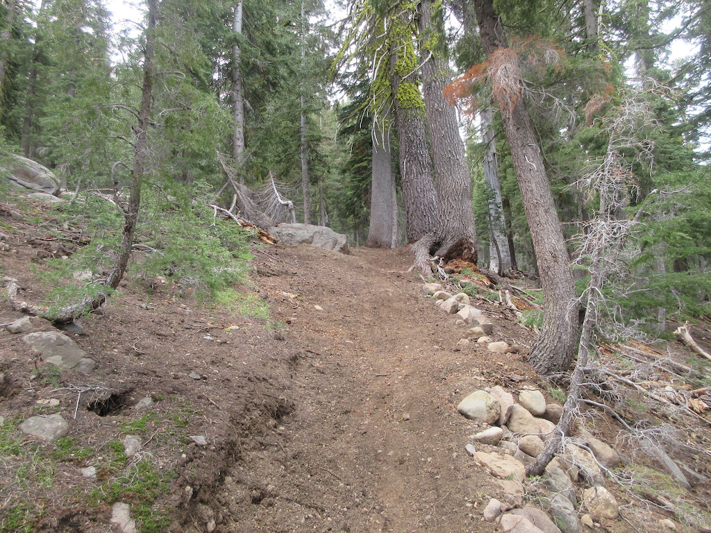 View back up trail to backside of optional rock jump.