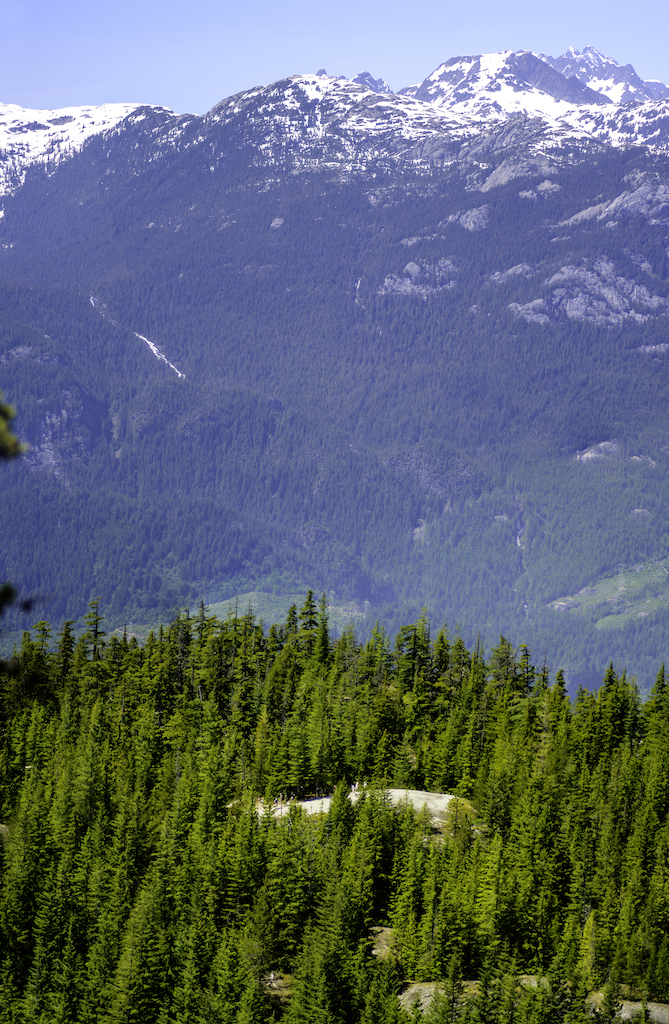 June 26 11 vert pan (hikers on Panorama trail with Mount Lapworth & Tantalus Range above) 3840
