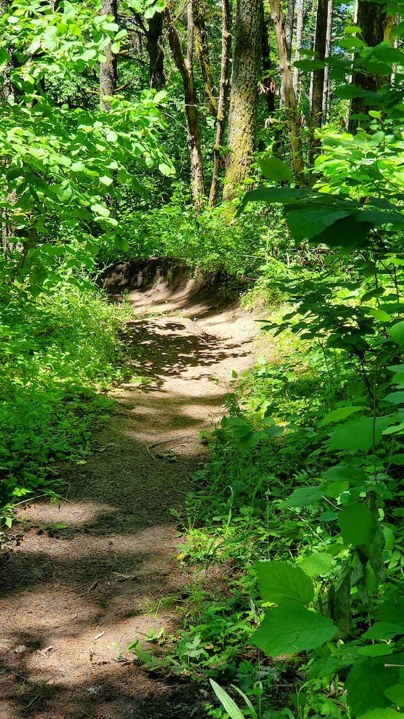 in North Bend, Oregon, United States photo by bighit05fsr1 Pinkbike