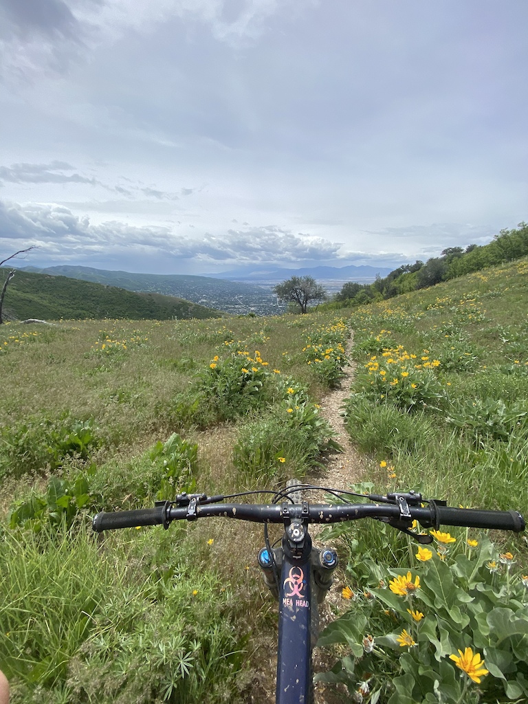 Fun trail, was a long pedal