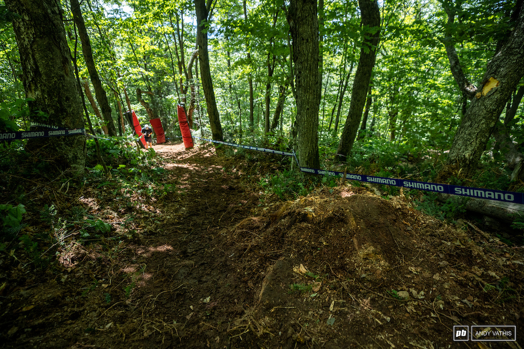 The new section of track features some loamy bits and a slew of stumps.