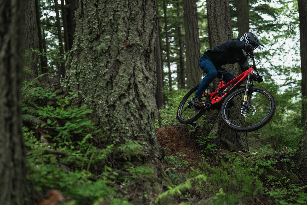 Matt Beer, Alicia Leggett, Mike Kazimer in Bellingham, Washington