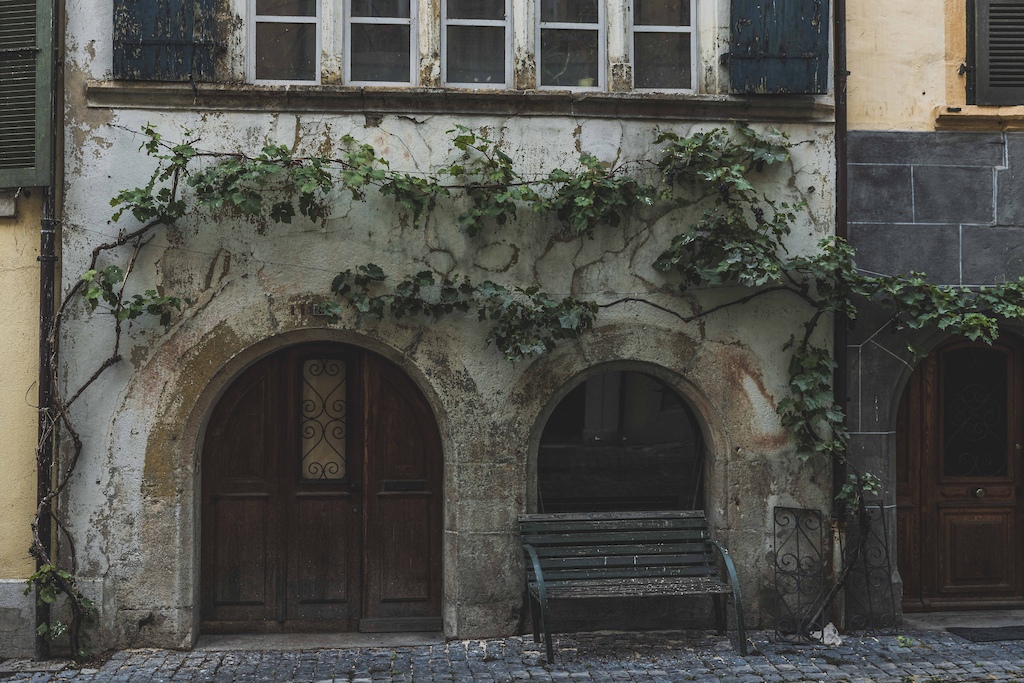 Grape vines hang from the old buildings, reminding us of the town's past.