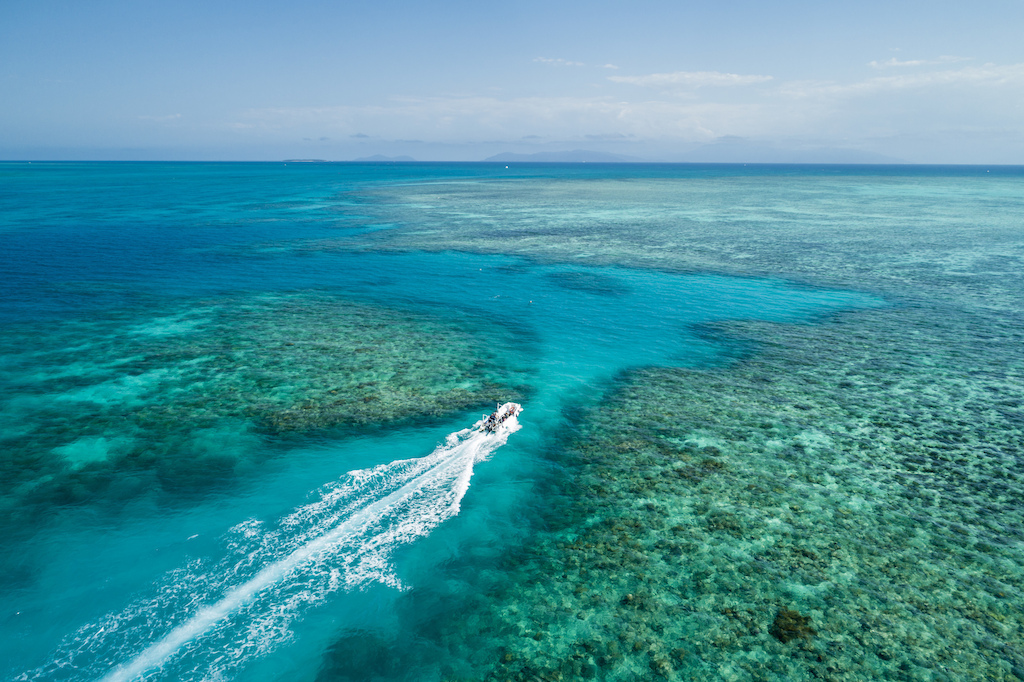 Aerial view of a tender taking guests to a drop-off point for the Adventure Drift Snorkel Tour