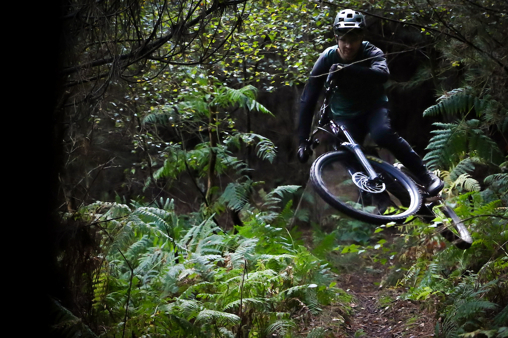 Damp day, dappled sunlight. No flash. Little pop nice little silhouette pic.