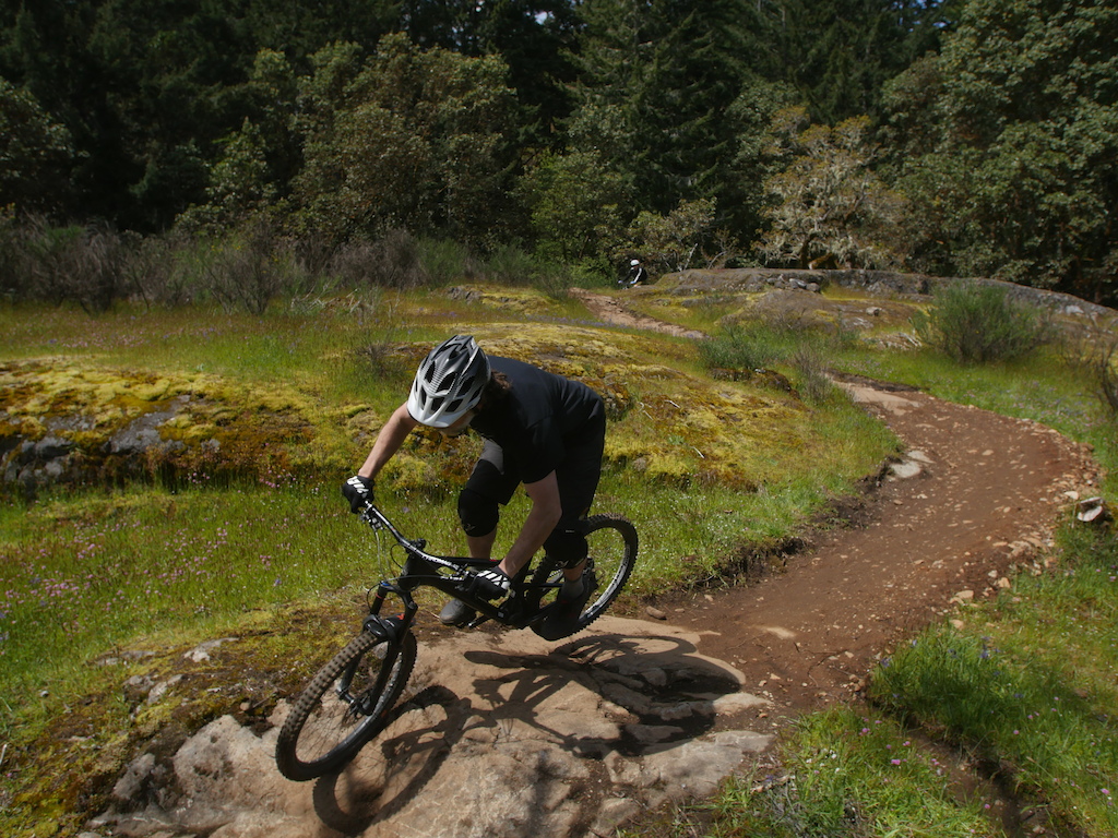 Allman Dirtworks - Langford gravity zone