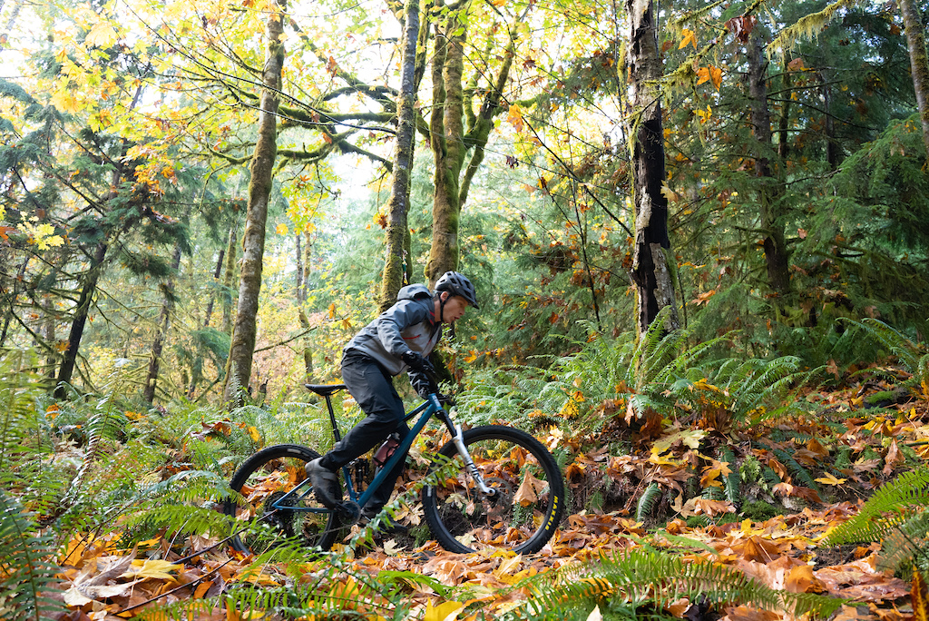 Reeb SST photo by Max Baron