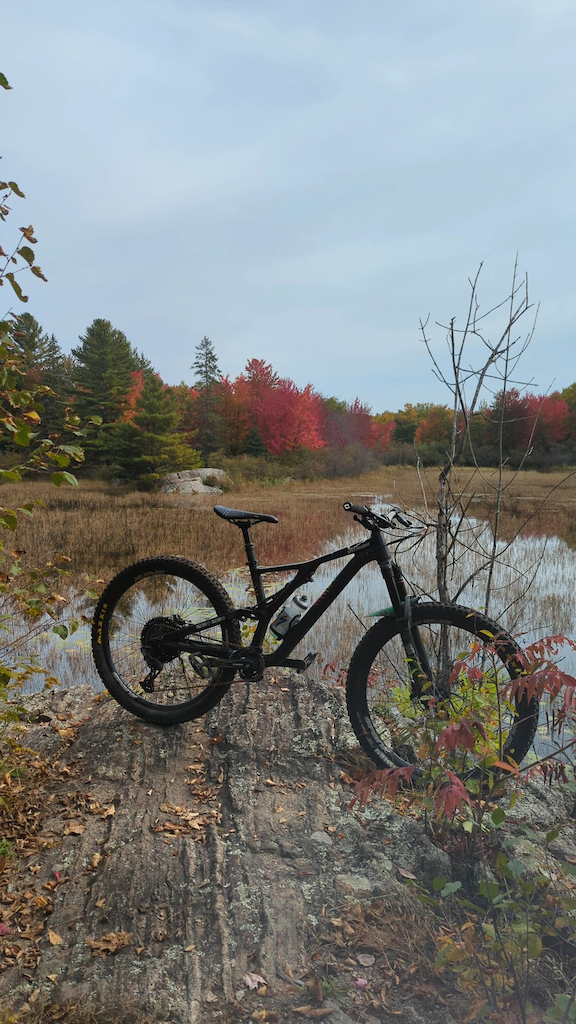 2020 Stumpjumper