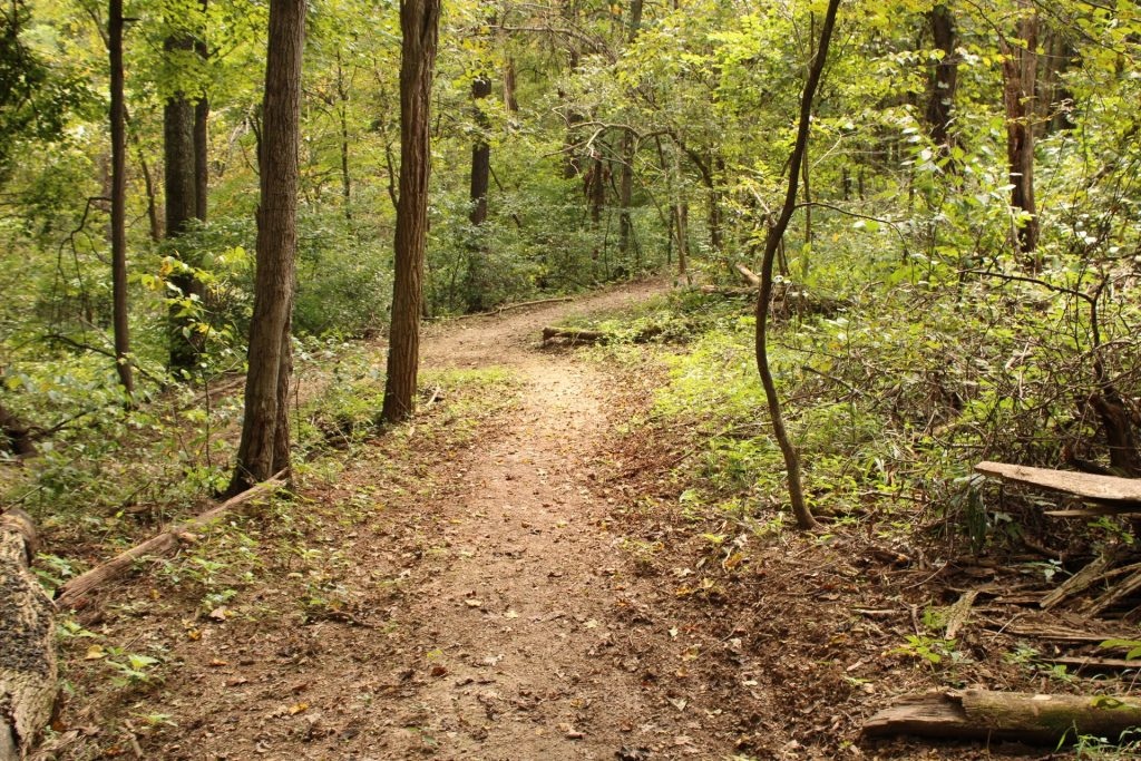 https://baileystrailsystem.org/trail/kidwell/